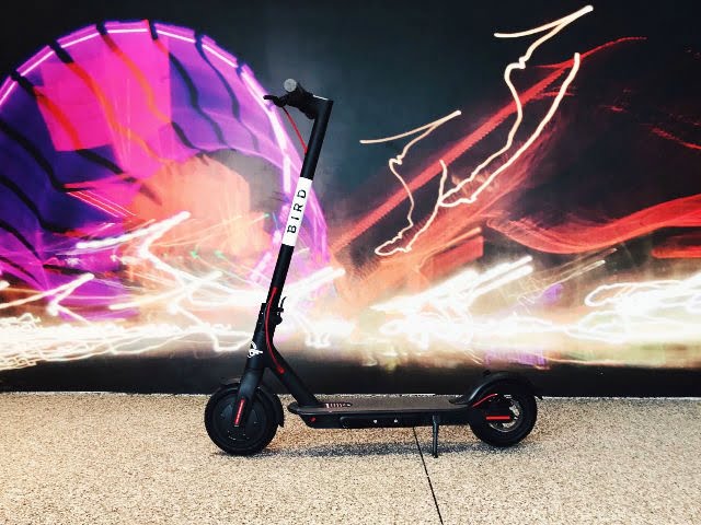 Bird comes to the Netherlands: Is Breda ready for electric scooters?