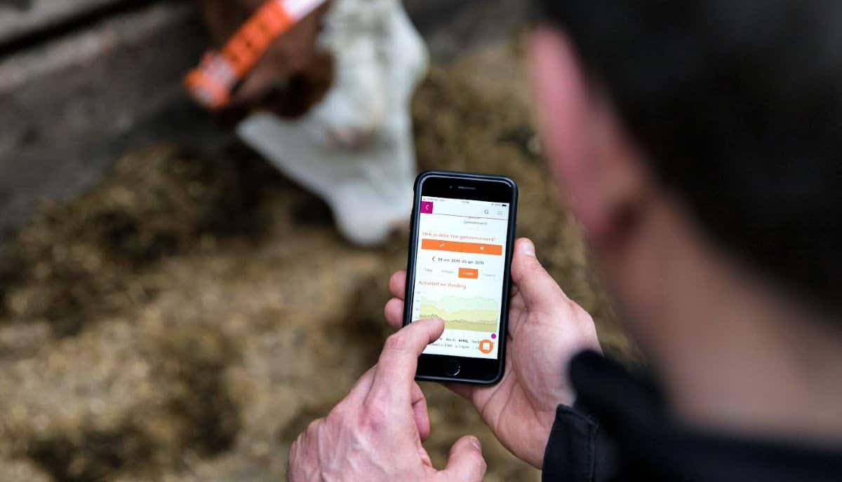Future of dairy tech in Europe: AI connected cows?