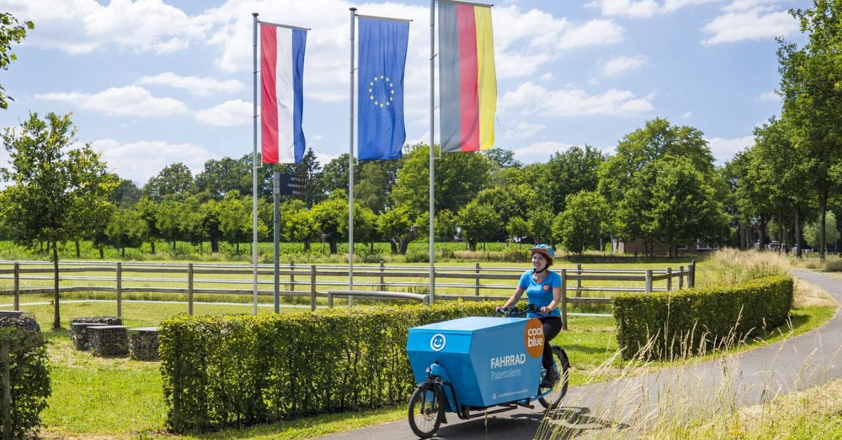 Coolblue: Amazon competitor from Netherlands battles for Germany's market share