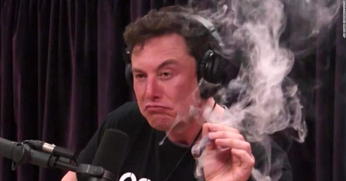 World's first fully self-driving car, AI text generator, music streaming brain chip: What's Elon Musk up to?