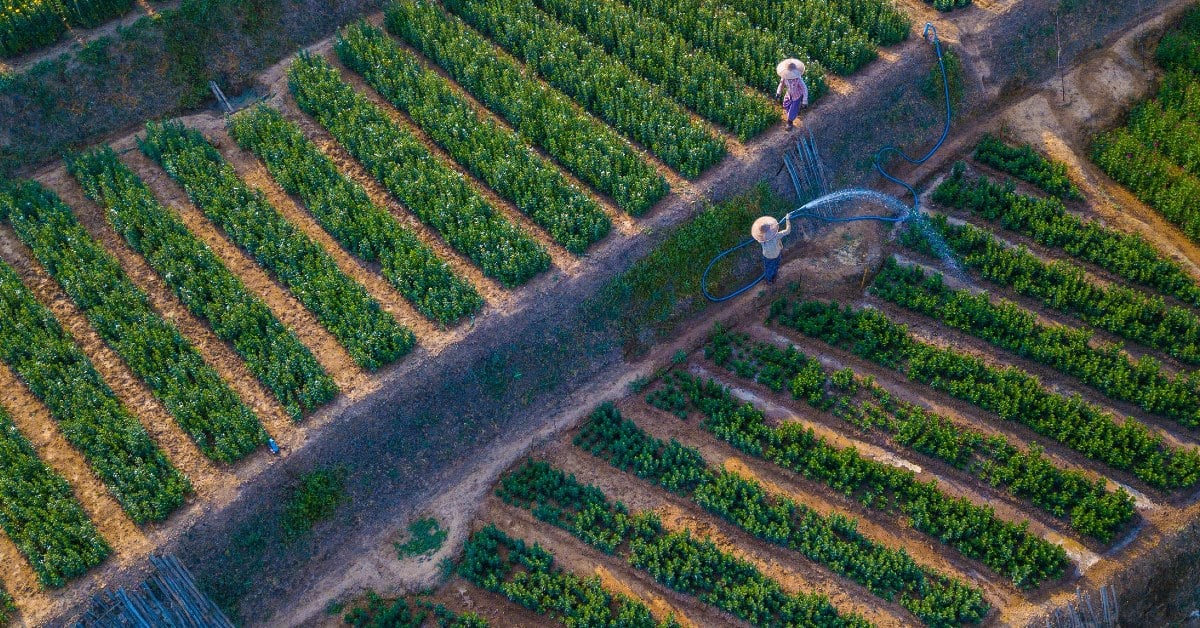 Climate tech firm Hydrosat acquires Dutch-based IrriWatch to help farmers operate effectively using space imagery