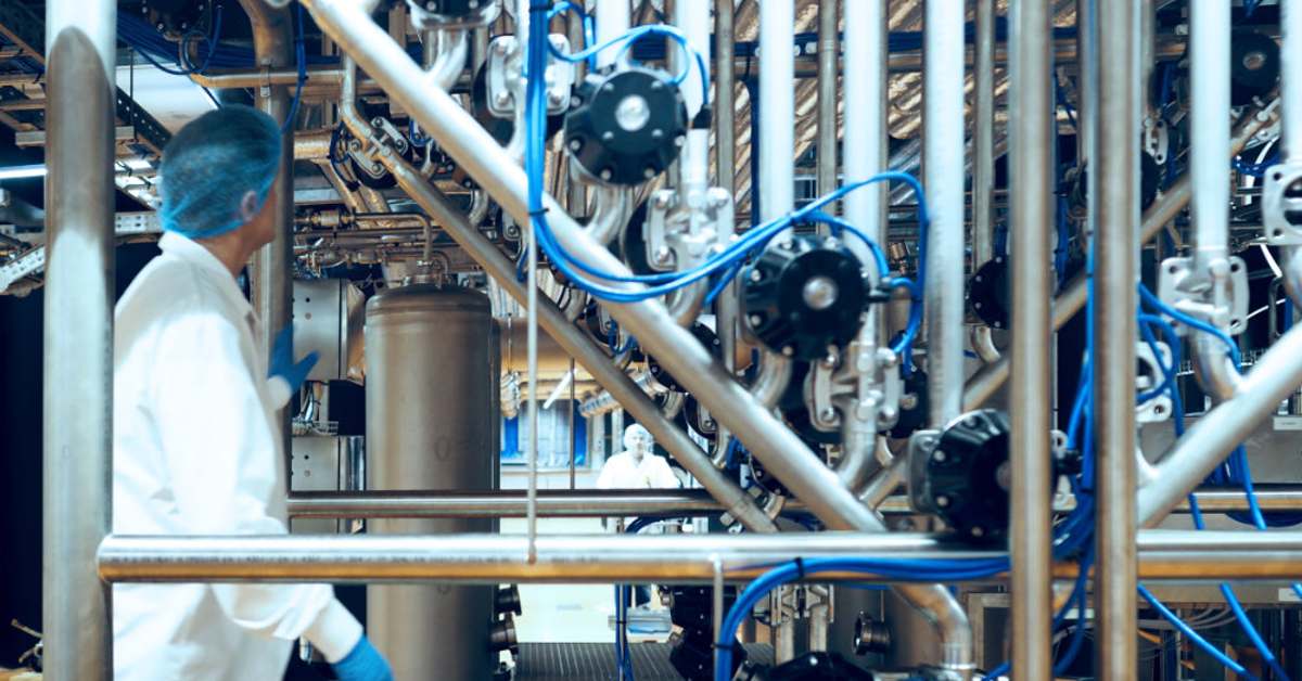 Dutch microalgae producer Phycom secures €1.75M from ROM Utrecht Region, others