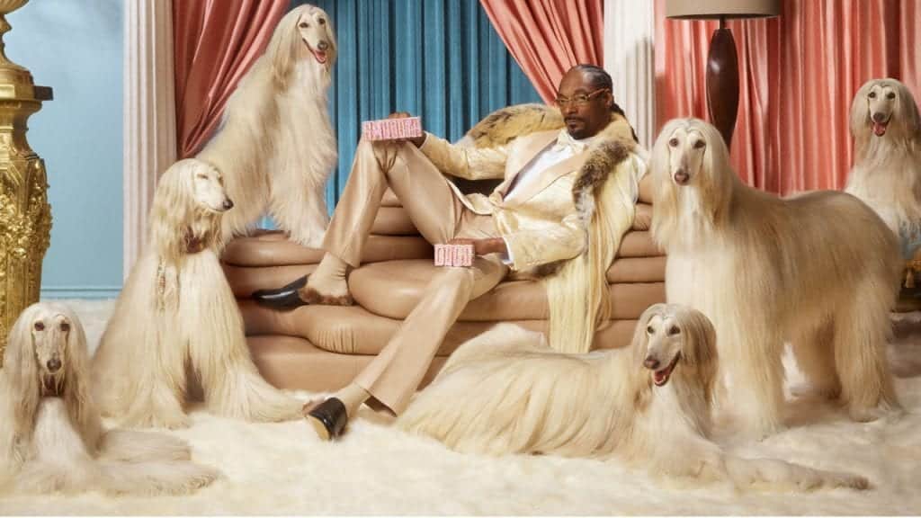 Snoop Dogg invests in Swedish fintech giant Klarna