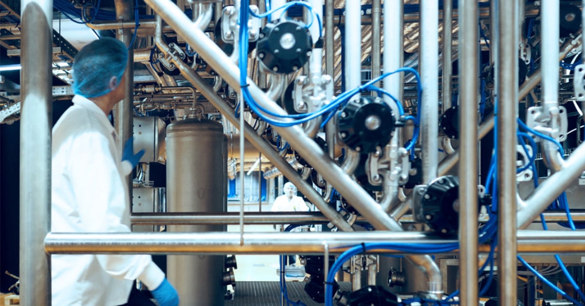 Dutch microalgae producer Phycom secures €9M+ from Invest-NL, others