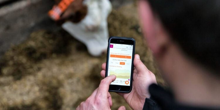 Future of dairy tech in Europe: AI connected cows?