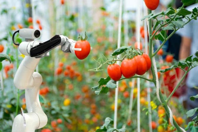 Making farming smarter: These 10 European agtech startups use robots to grow food!