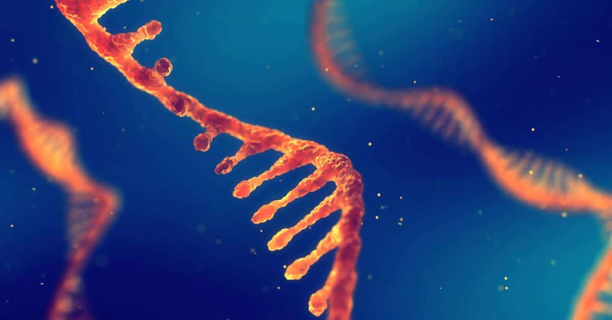 This British cell culture company has developed organ-on-chip lab instruments to transform drug discovery, raises €8.05M