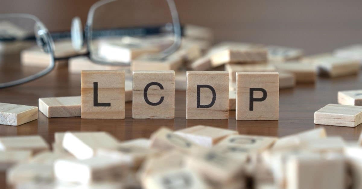 This Dutch low-code development platform joins hands with Holland Capital