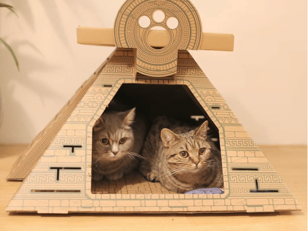 Poopy Cat's founder responds to Kickstarter turmoil: "We have hundreds of happy backers"