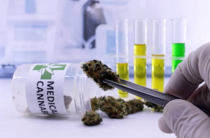 These 10 European medtech startups are cashing in on cannabis