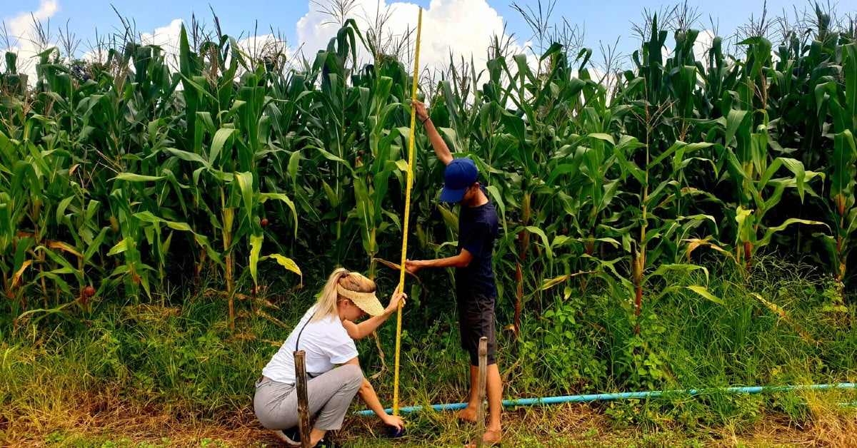 This Dutch agritech startup uses satellite data to tackle deforestation & help companies achieve a more sustainable supply chain; raises €1.9M