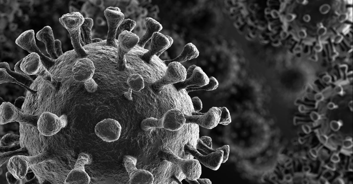 This Irish startup secures €2.35M to visualise virally infected cells in great detail