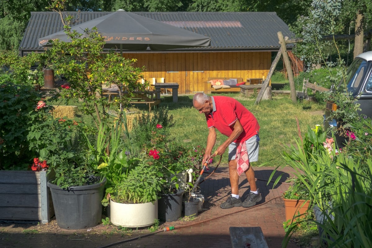 Giveback: How volunteering is driving creative and team benefits at Lemonade and Amsterdam City