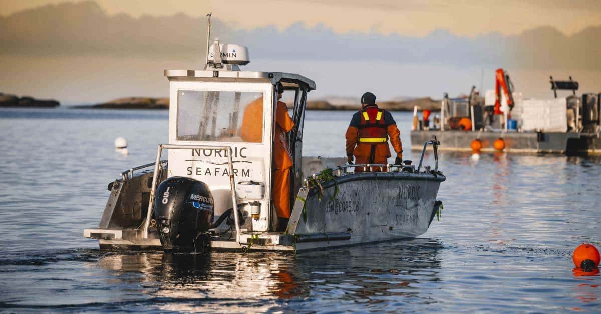 Swedish seaweed startup Nordic SeaFarm secures €2.1M from EIT InnoEnergy, Inter IKEA, others 