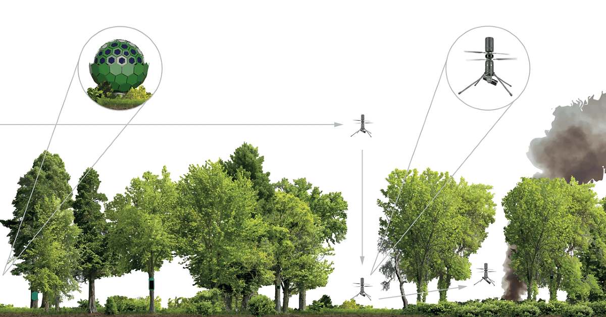 German startup Dryad Network raises €6.3M to advance its ultra-early wildfire detection technology