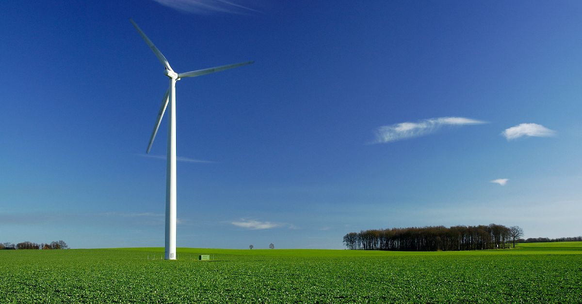 Leonardo DiCaprio-backed US VC Regeneration.VC takes over management of Sky’s climate portfolio