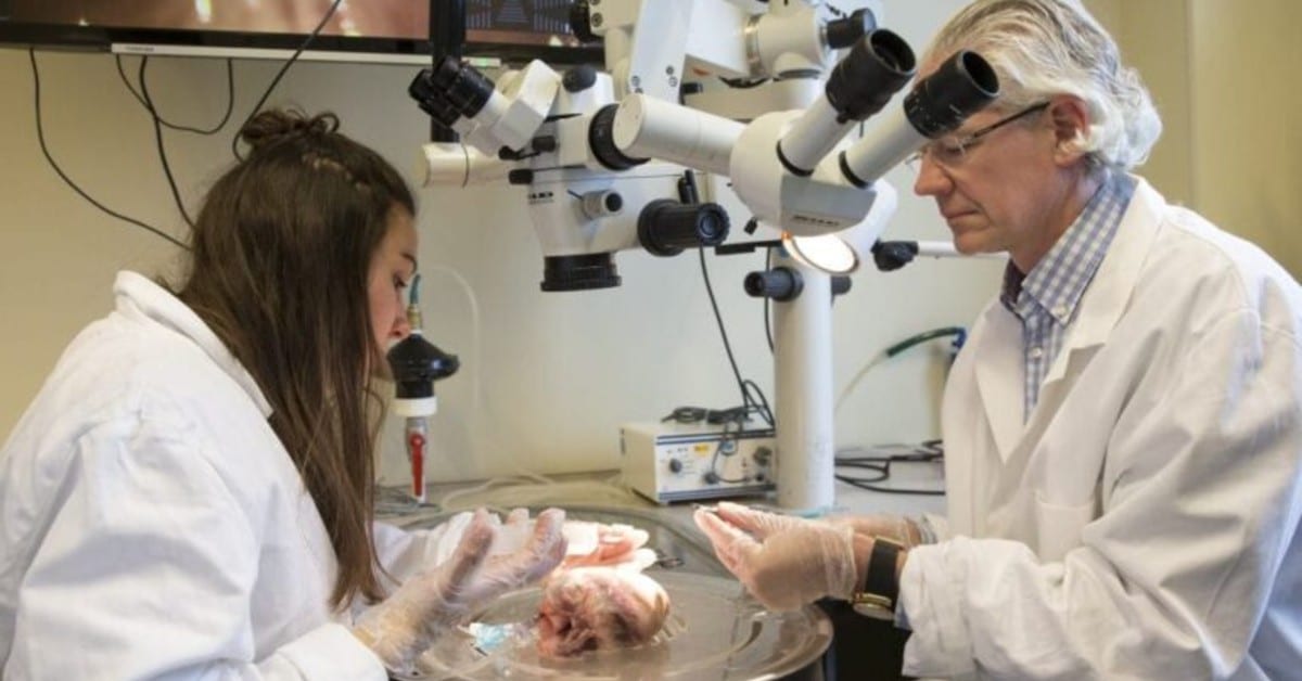 Dutch medtech startup AMT Medical raises €22M from Invest-NL, EIC, others