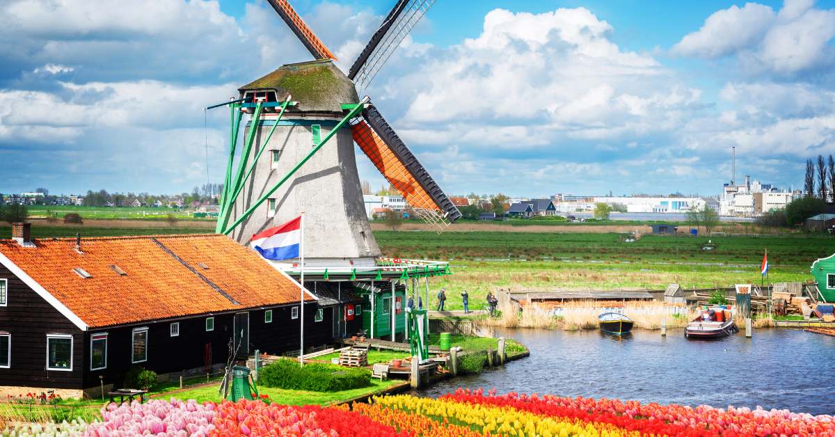 Meet the top medium companies to work for in the Netherlands in 2025; 12 are hiring right now
