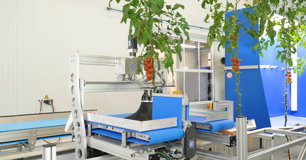 Dutch-based SAIA Agrobotics raises €10M to bring greenhouse robots to market