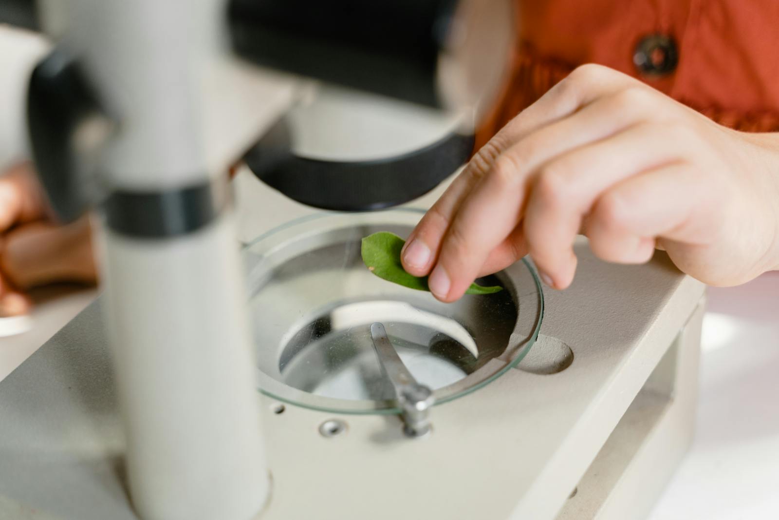 food safety laboratory