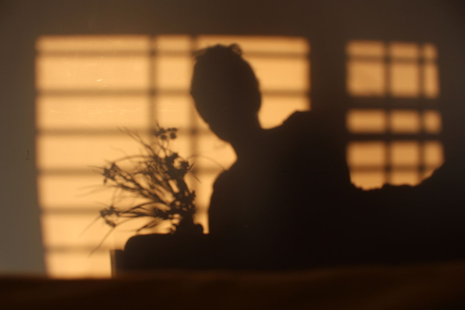 window evening light
