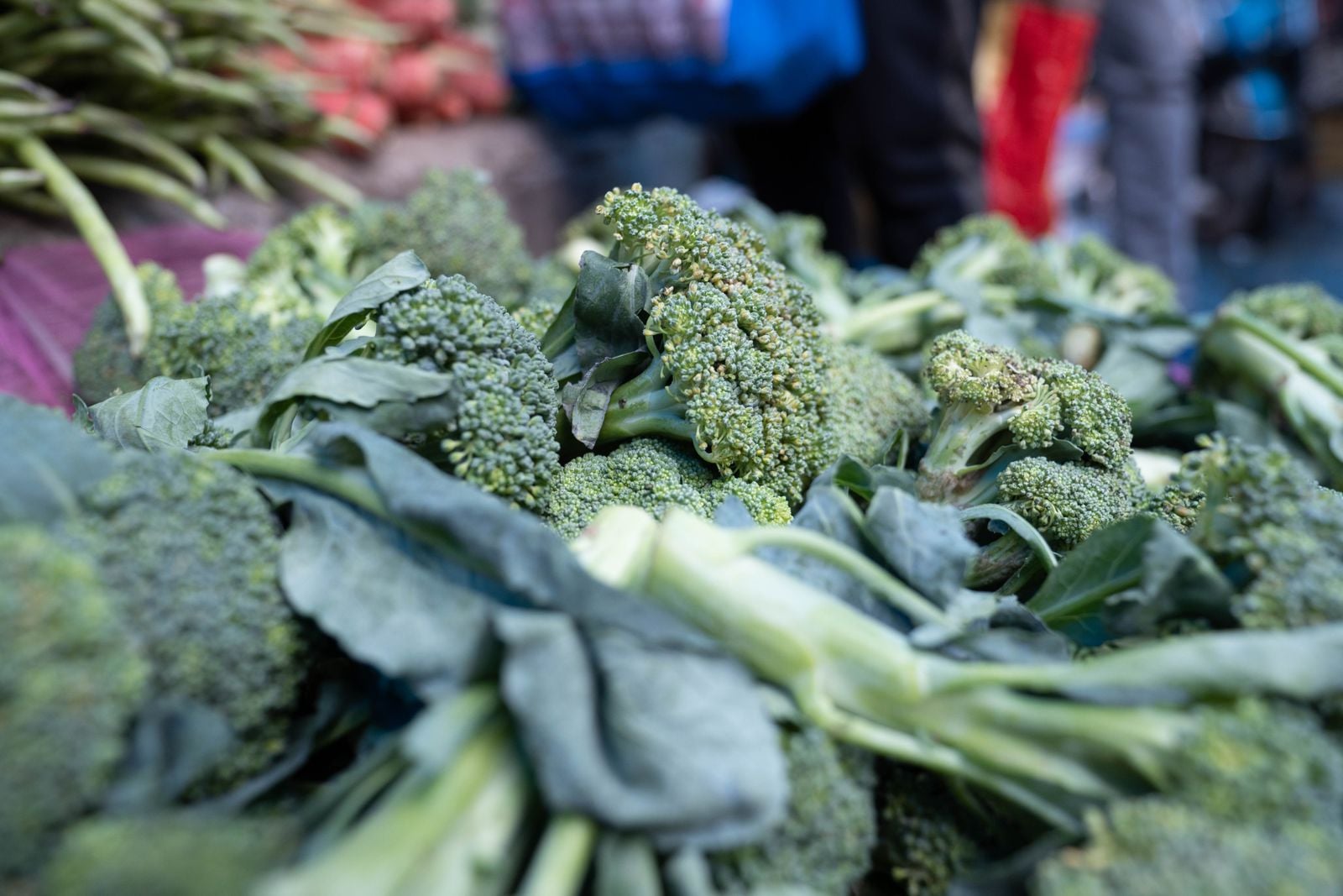 broccoli vegetables market