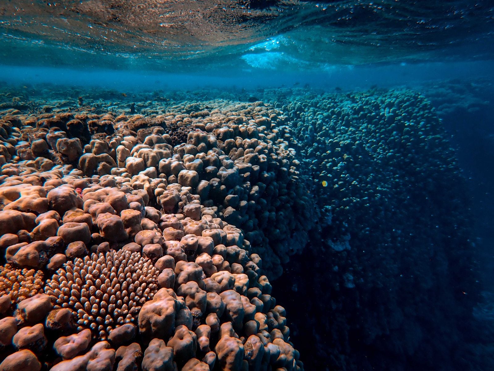 The Clarion-Clipperton Zone’s nodules are estimated to contain more nickel and cobalt than all terrestrial reserves — but commercial mining is still waiting on permits and an unfinished global rulebook