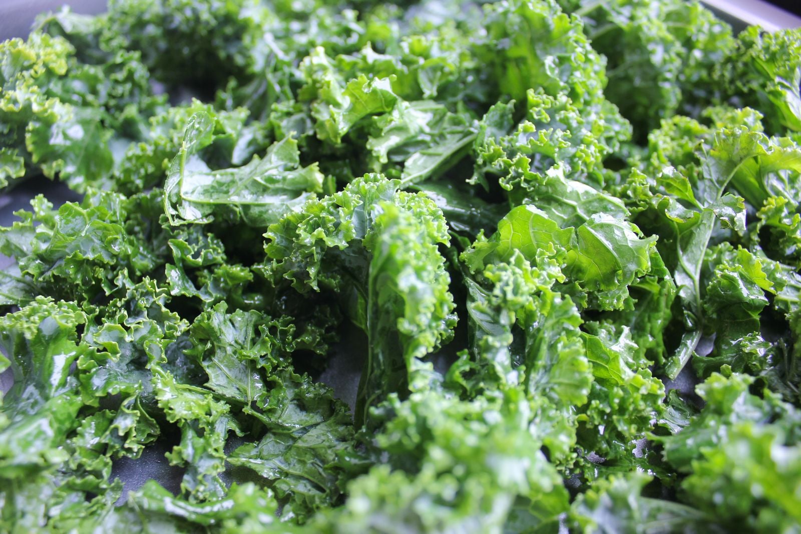 raw kale close up