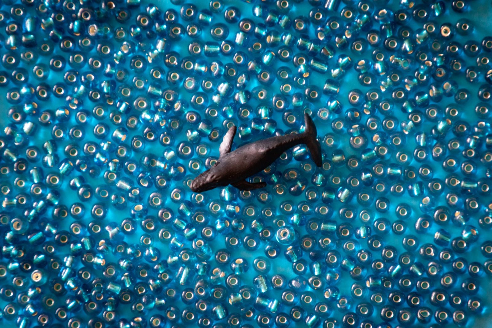 sperm whales vertical sleep